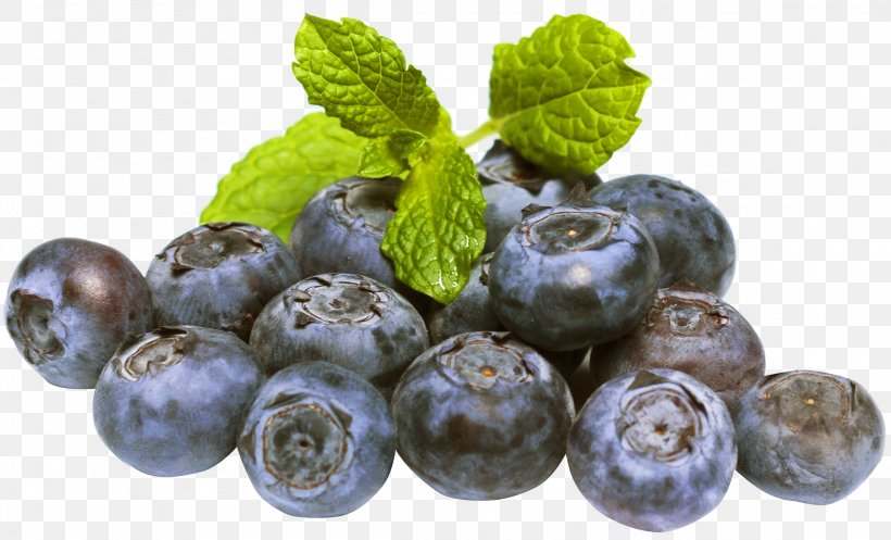 Blueberry Fruit, PNG, 2304x1399px, Blueberry, Berry, Bilberry, Cranberry, Damson Download Free
