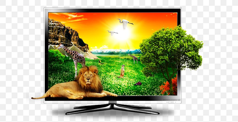 LCD Television Television Set LED-backlit LCD 3D Television, PNG, 640x422px, 3d Television, Lcd Television, Advertising, Computer, Computer Monitor Download Free
