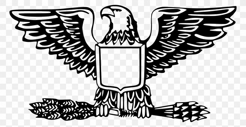 Bald Eagle United States American Eagle Outfitters Clip Art, PNG, 2400x1245px, Bald Eagle, American Eagle Outfitters, Beak, Bird, Bird Of Prey Download Free