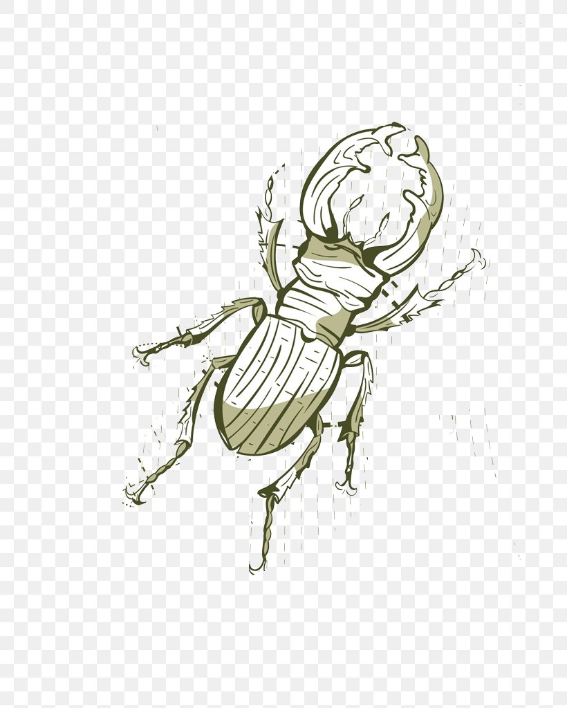 Cockroach Insect Cartoon, PNG, 724x1024px, Cockroach, Art, Artwork, Black And White, Cartoon Download Free