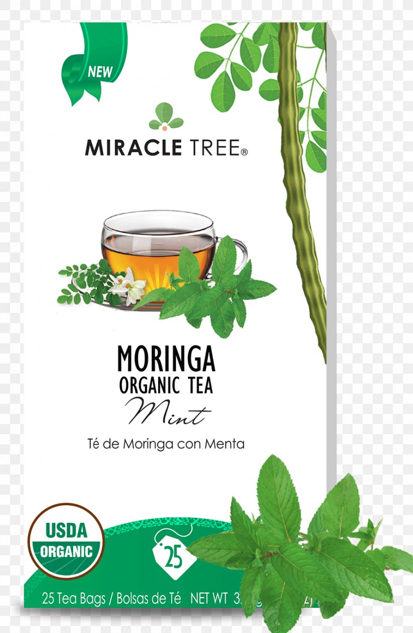 Tea Drumstick Tree Infusion Herb Honey, PNG, 888x1358px, Tea, Caffeine, Drumstick Tree, Food, Grass Download Free