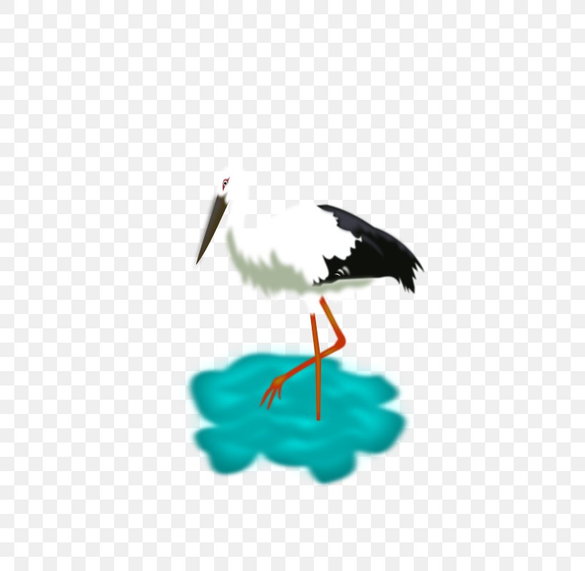 White Stork Bird, PNG, 566x800px, White Stork, Beak, Bird, Ciconiiformes, Crane Download Free