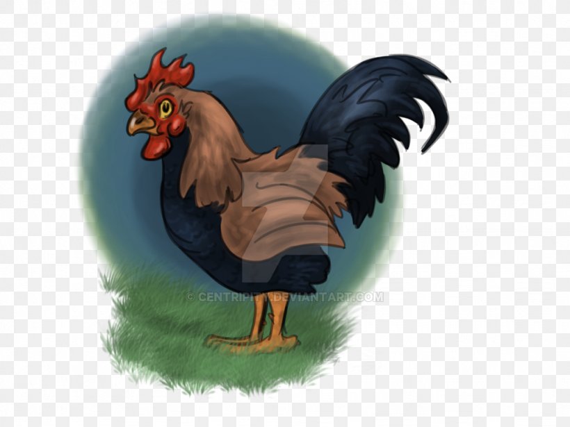 Chicken Bird Phasianidae Vertebrate Fowl, PNG, 1024x768px, Chicken, Animal, Beak, Bird, Cartoon Download Free