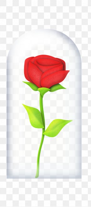 Little Prince Rose Images, Little Prince Rose Transparent PNG, Free ...