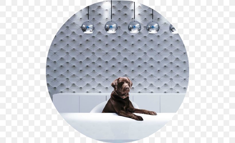 Porcelain Tile Ceramic Jainoor Earthenware, PNG, 500x500px, Tile, Ceramic, Cordoba, Dog, Dog Like Mammal Download Free