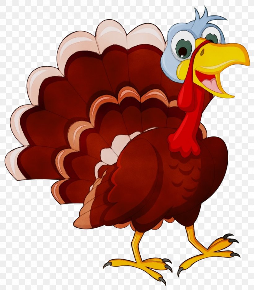 Bird Rooster Beak Chicken Turkey, PNG, 898x1024px, Watercolor, Beak, Bird, Cartoon, Chicken Download Free