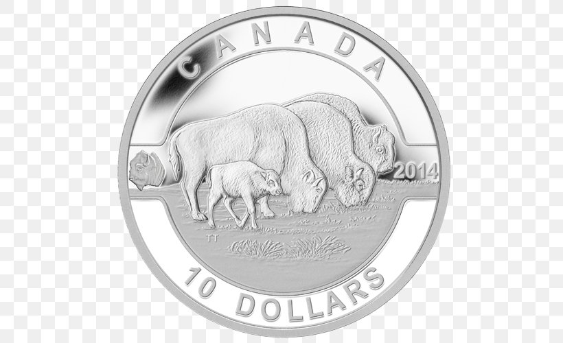 Canada Silver Coin Coin Set, PNG, 500x500px, Canada, Body Jewelry, Carnivoran, Coin, Coin Set Download Free