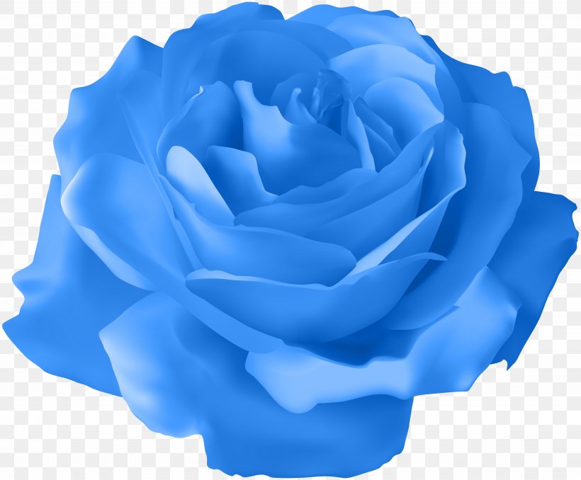 Rose Purple Clip Art, PNG, 8000x6618px, Rose, Azure, Blue, Blue Rose, Bud Download Free