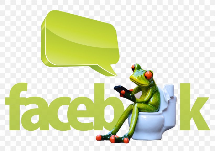 Social Media Advertising Facebook Blog Pay-per-click, PNG, 1920x1357px, Social Media, Advertising, Amphibian, Blog, Brand Download Free