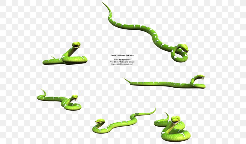 Stock Photography Snake Royalty-free, PNG, 600x480px, Stock Photography, Animal, Animal Figure, Depositphotos, Mamba Download Free