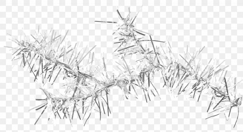 Twig Branch Leaf, PNG, 2400x1308px, Twig, Black And White, Branch, Google Images, Leaf Download Free