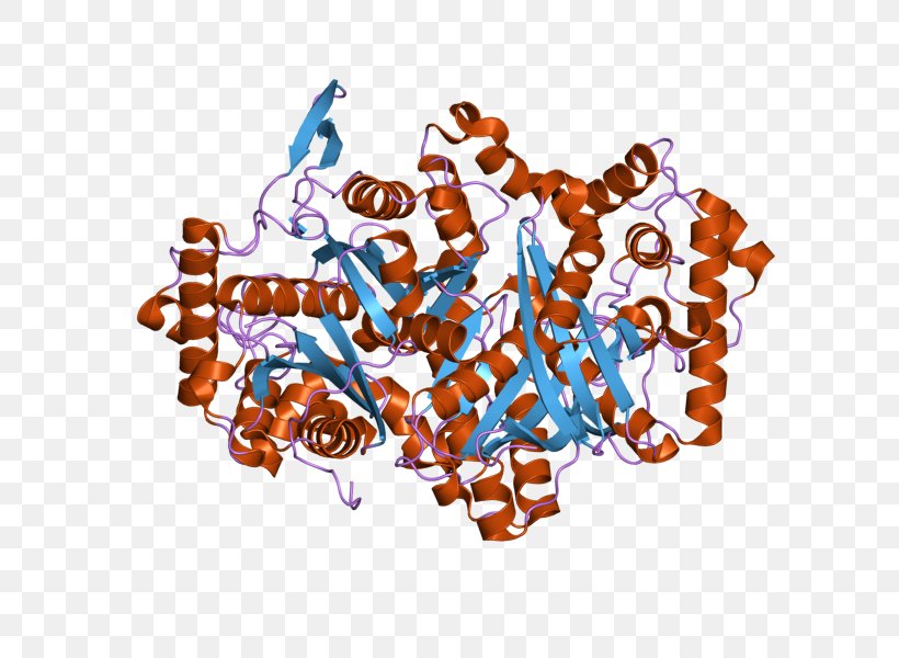 ACAA1 Thiolase Peroxisome Acyltransferase Coenzyme A, PNG, 800x600px, Peroxisome, Acetyl Group, Acetylcoa, Acylcoa, Acyltransferase Download Free