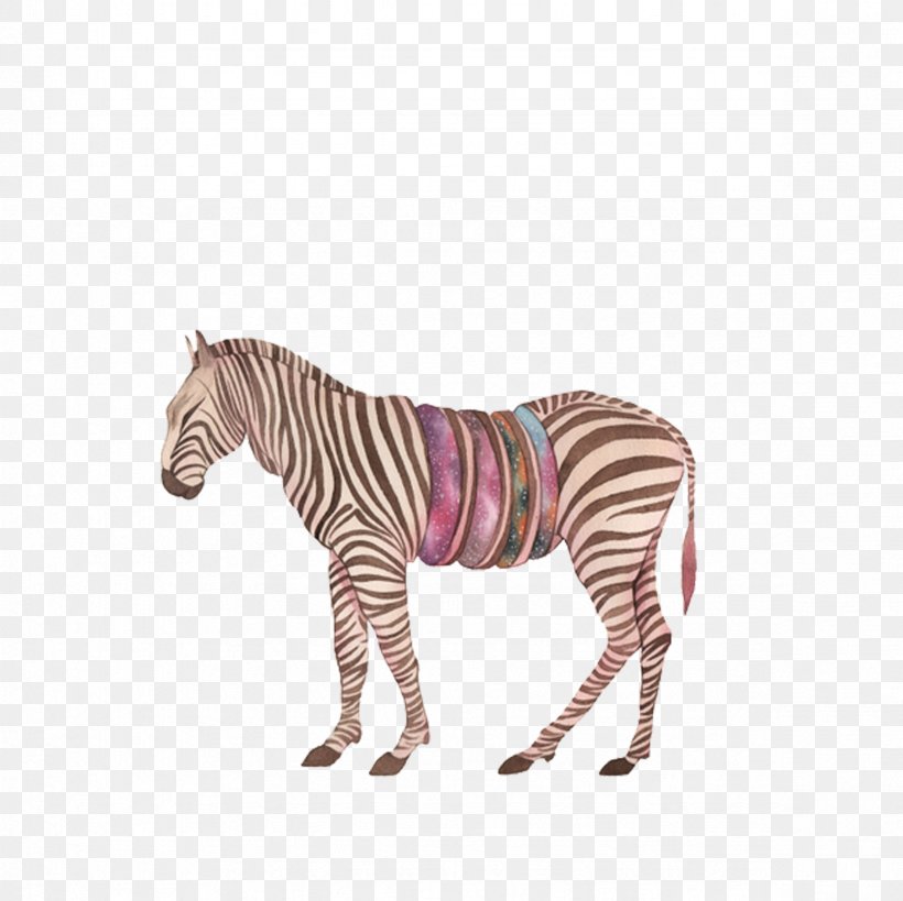 Africa Quagga, PNG, 2362x2362px, Africa, Horse Like Mammal, Illustrator, Mammal, Mane Download Free