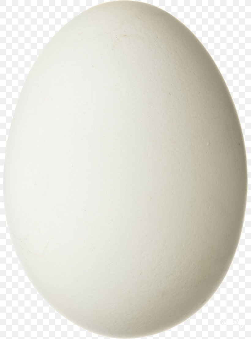 Egg Lighting Sphere Design, PNG, 800x1106px, Egg, Chicken Egg, Lighting, Product Design, Sphere Download Free