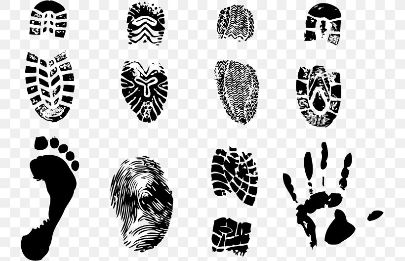 Footprint Sole Shoe, PNG, 735x528px, Footprint, Black And White, Fingerprint, Foot, Material Download Free