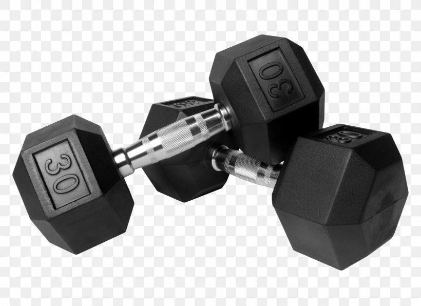 Dumbbell Physical Exercise Fitness Centre Physical Fitness, PNG, 1559x1134px, Dumbbell, Barbell, Exercise Equipment, Fitness Centre, Handstand Pushup Download Free