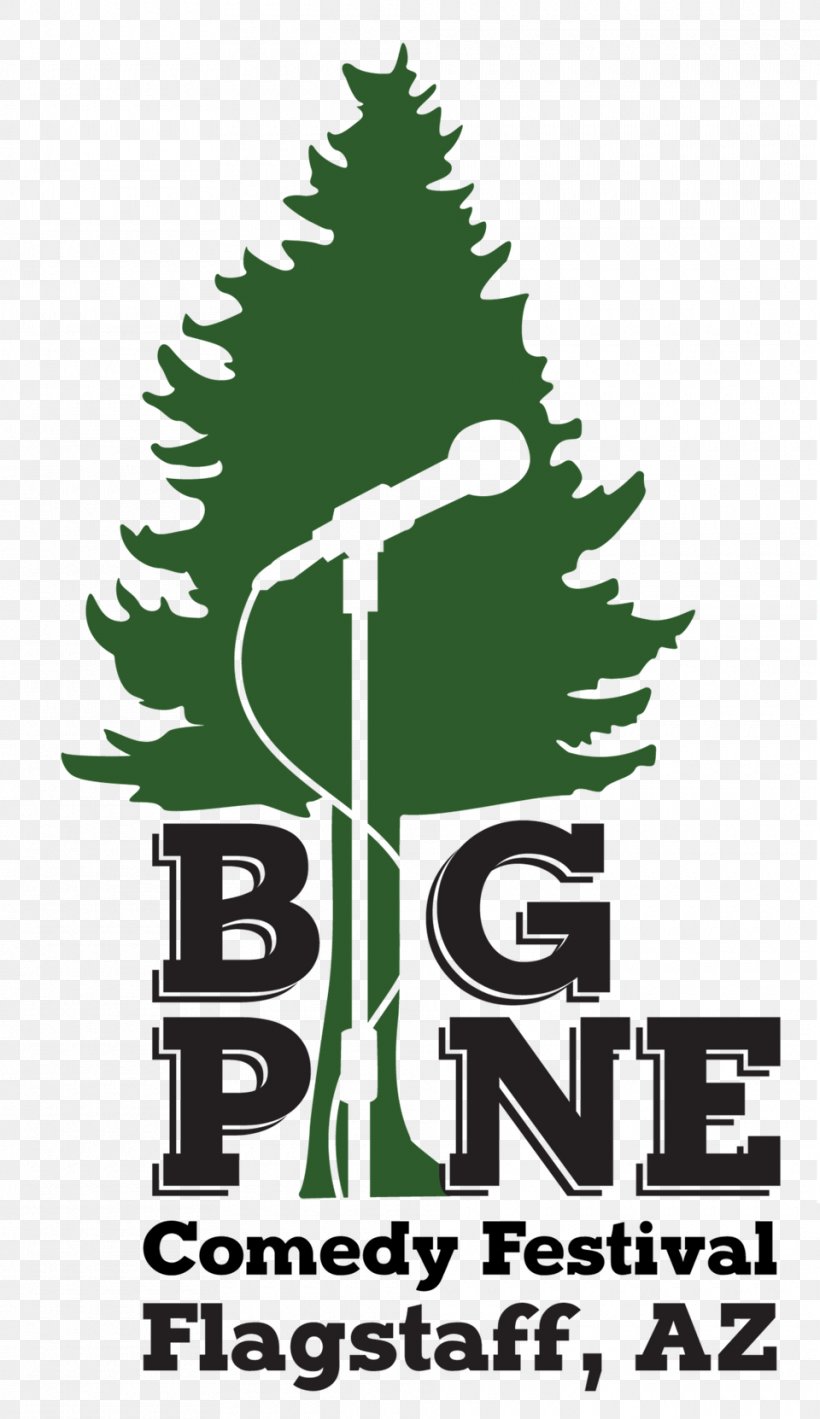 Logo Christmas Tree Pine Font, PNG, 960x1662px, Logo, Brand, Christmas, Christmas Tree, Conifer Download Free