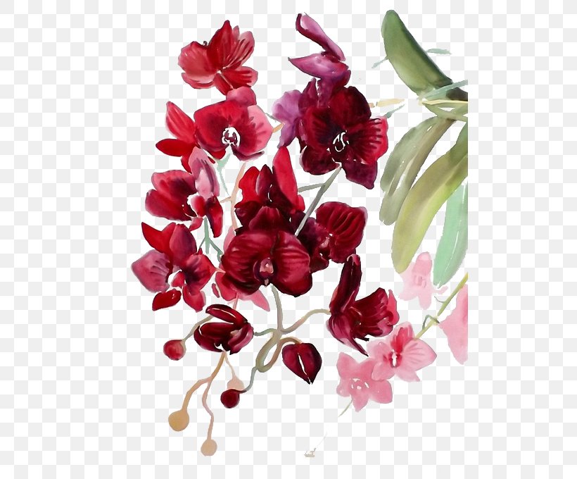 Watercolor Painting Watercolor: Flowers Watercolour Flowers Orchids, PNG, 510x680px, Watercolor Painting, Art, Cut Flowers, Drawing, Floral Design Download Free