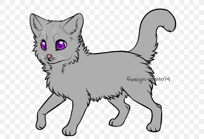 Whiskers Kitten Cat Warriors Apprenticeship, PNG, 630x560px, Whiskers, Animal, Apprenticeship, Artwork, Black And White Download Free