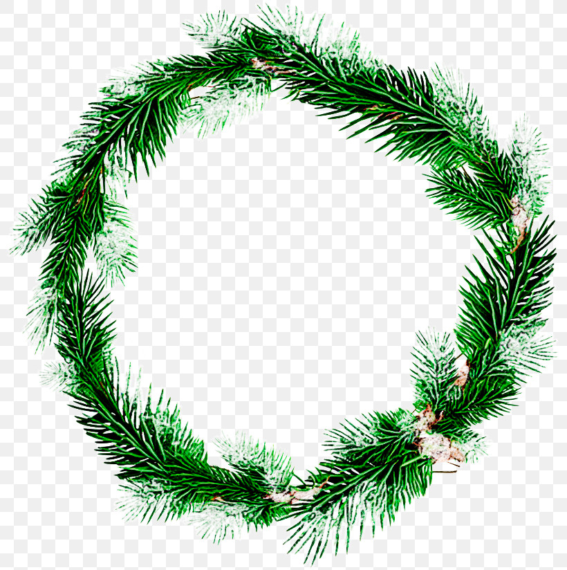 Christmas Decoration, PNG, 800x824px, Oregon Pine, American Larch, Branch, Christmas Decoration, Colorado Spruce Download Free