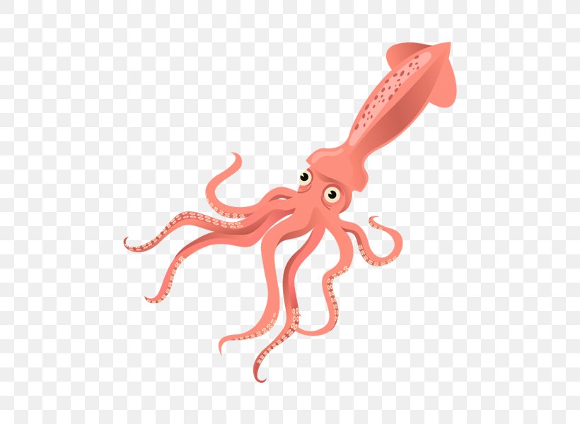 Humboldt Squid The Name Of The Wind The Kingkiller Chronicle Image, PNG, 800x600px, Squid, Animal Source Foods, Book, Cephalopod, Dosidicus Download Free
