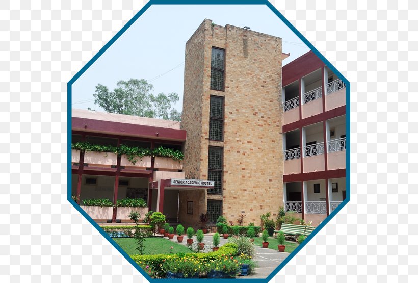 Indian Institute Of Technology (Indian School Of Mines), Dhanbad Senior Academic Hostel House Commercial Building, PNG, 555x555px, House, Apartment, Board Of Directors, Building, Chairman Download Free