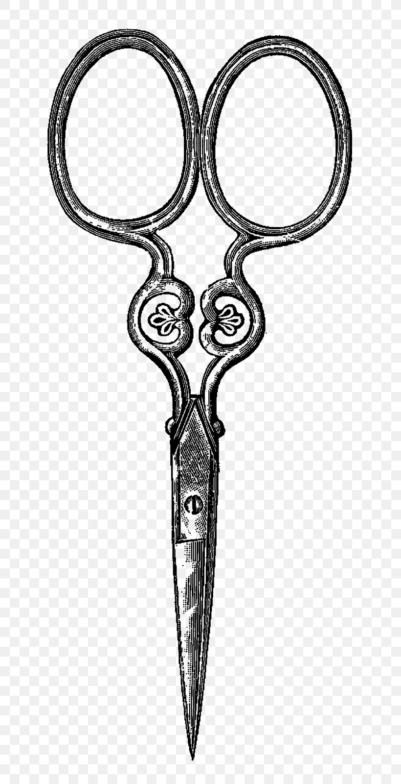 Scissors Drawing