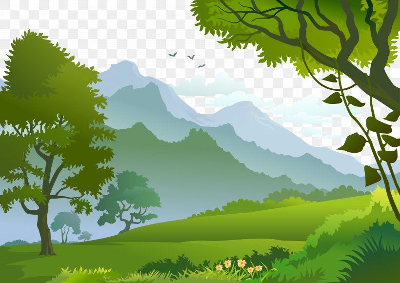 Forest Landscape Photography Illustration, PNG, 9474x6702px, Forest, Biome, Branch, Drawing, Ecosystem Download Free