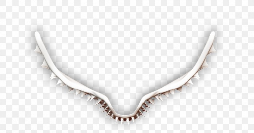 Necklace Jewellery Silver Chain, PNG, 1200x630px, Necklace, Body Jewellery, Body Jewelry, Chain, Fashion Accessory Download Free