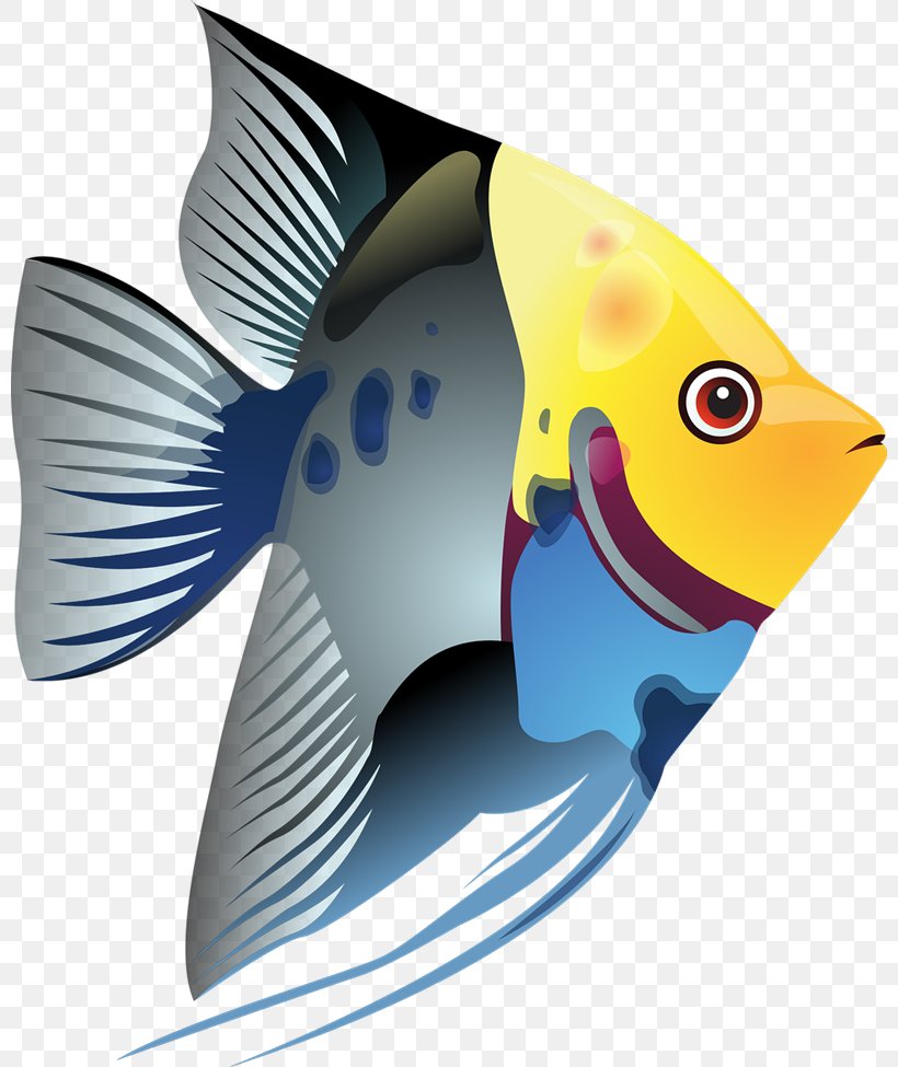 Tropical Fish Clip Art, PNG, 800x975px, Tropical Fish, Beak, Cartoon, Fish, Organism Download Free