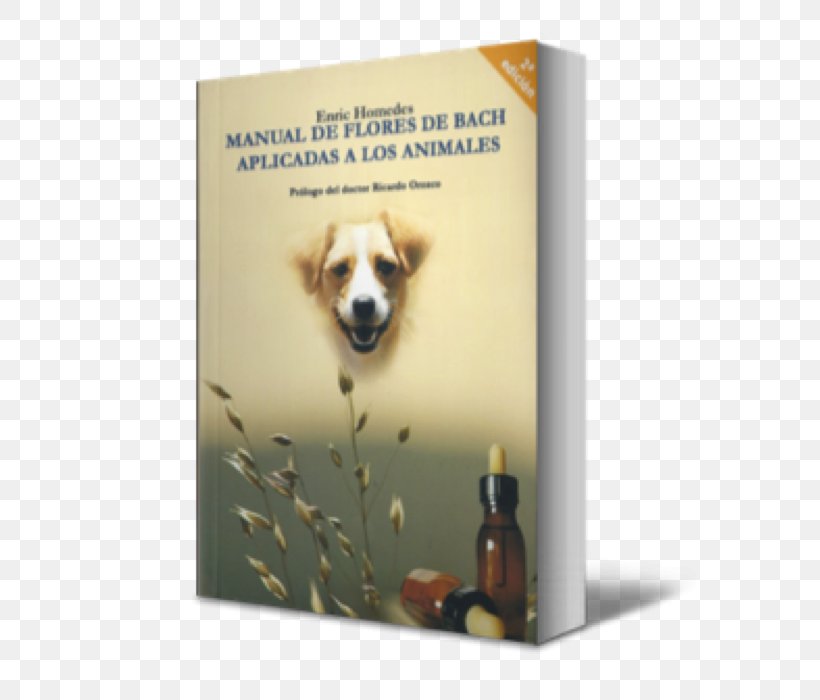 Cat Bach Flower Remedies Dog Breed Therapy, PNG, 586x700px, Cat, Advertising, Animal, Author, Bach Flower Remedies Download Free
