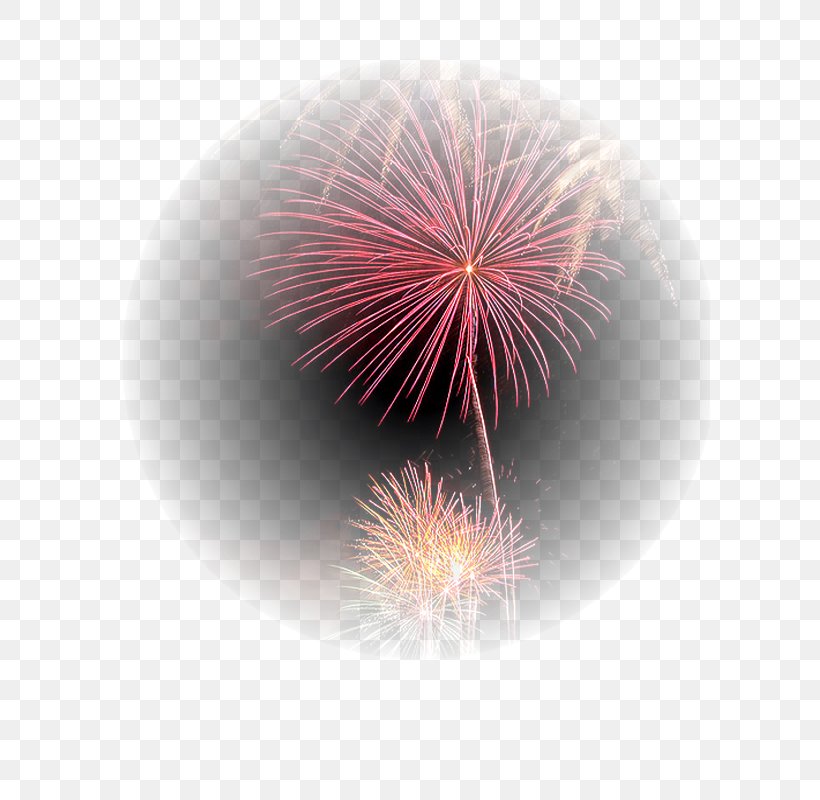 Fireworks Explosive Material Desktop Wallpaper Close-up Computer, PNG, 600x800px, Fireworks, Close Up, Closeup, Computer, Event Download Free