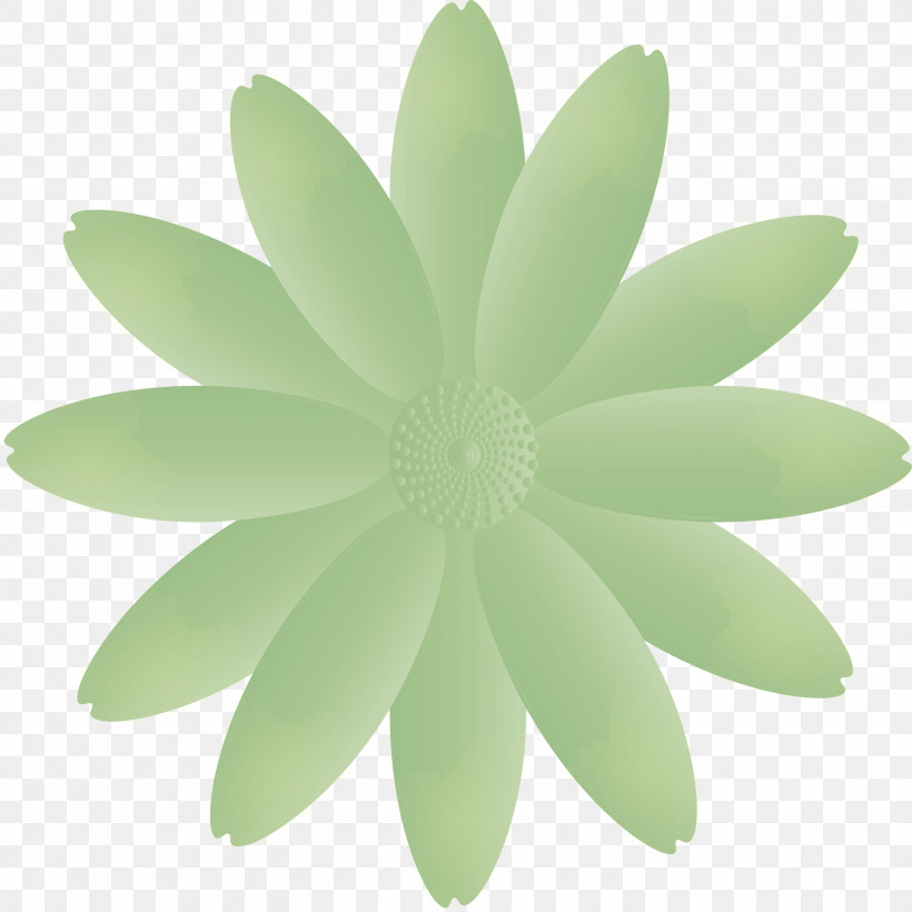 Marguerite Flower Spring Flower, PNG, 3000x3000px, Marguerite Flower, Aquatic Plant, Flower, Green, Leaf Download Free