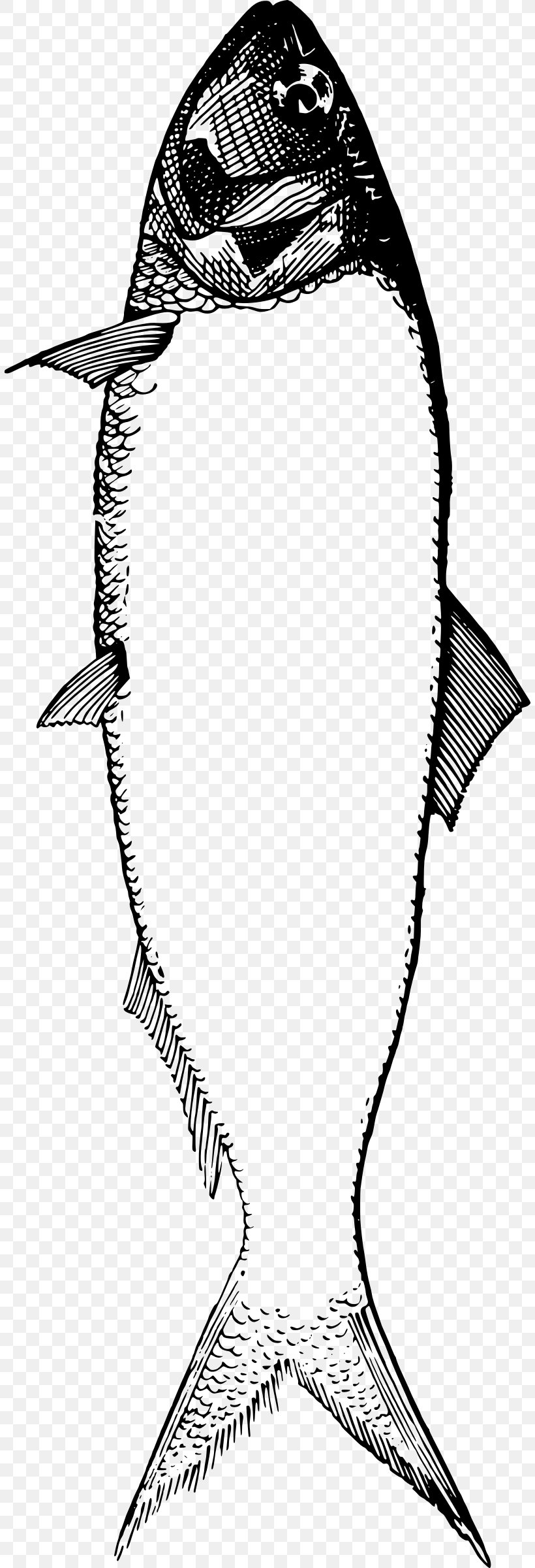 Fish Drawing Clip Art, PNG, 808x2400px, Fish, Artwork, Black And White, Drawing, Food Download Free
