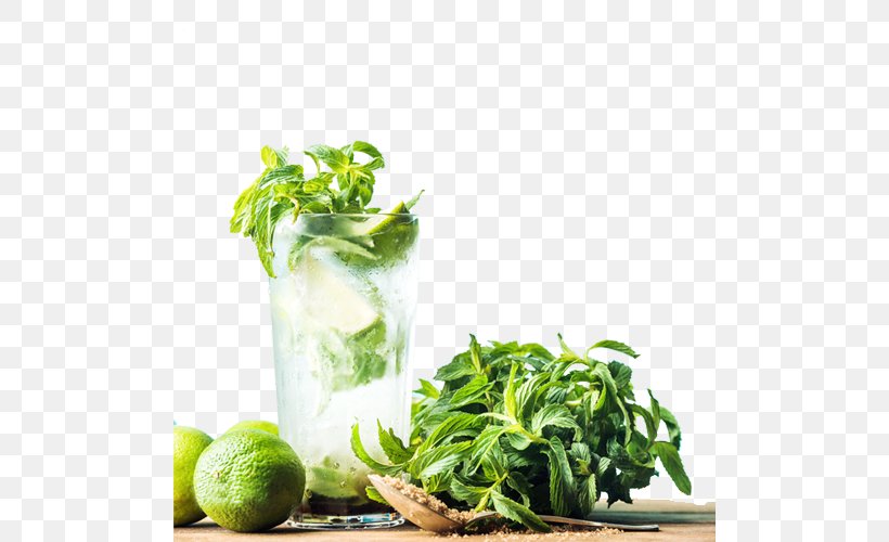 Mojito Cocktail Rum Mint Julep, PNG, 500x500px, Mojito, Brown Sugar, Carbonated Water, Cocktail, Cocktail Glass Download Free
