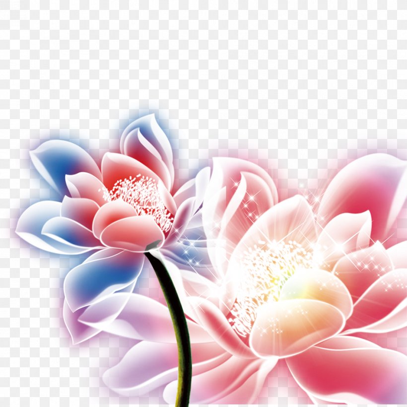 Sacred Lotus Mid-Autumn Festival Image Desktop Wallpaper, PNG, 945x945px, Sacred Lotus, Chrysanths, Festival, Flower, Flowering Plant Download Free