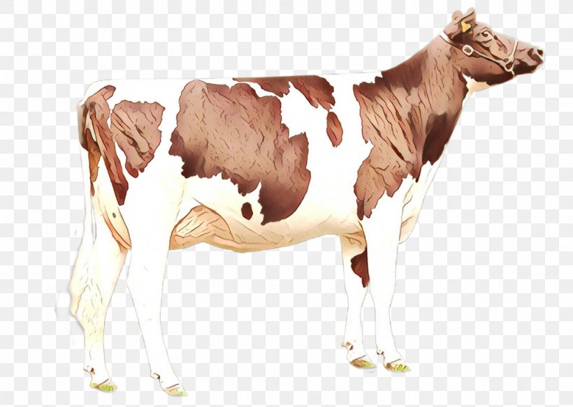 Animal Figure Dairy Cow Bovine Terrestrial Animal Calf, PNG, 1024x729px, Cartoon, Animal Figure, Bovine, Calf, Cowgoat Family Download Free