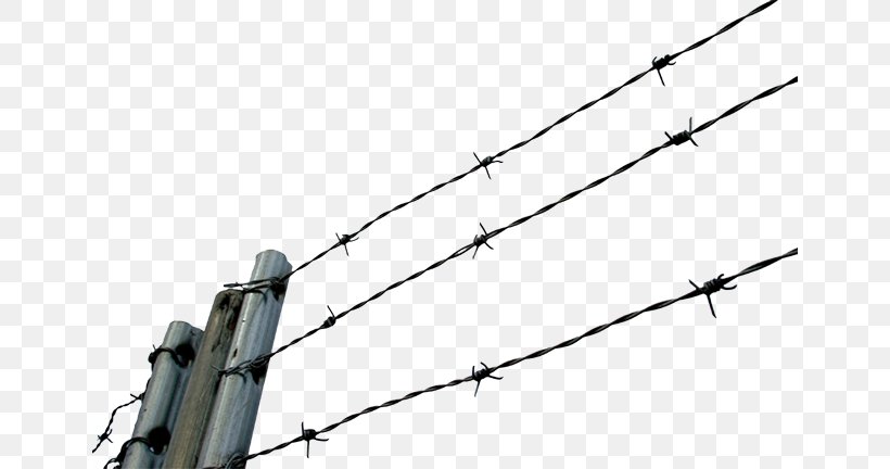 Barbed Wire Chain-link Fencing Clip Art, PNG, 650x432px, Barbed Wire, Barbed Tape, Chainlink Fencing, Chicken Wire, Fence Download Free