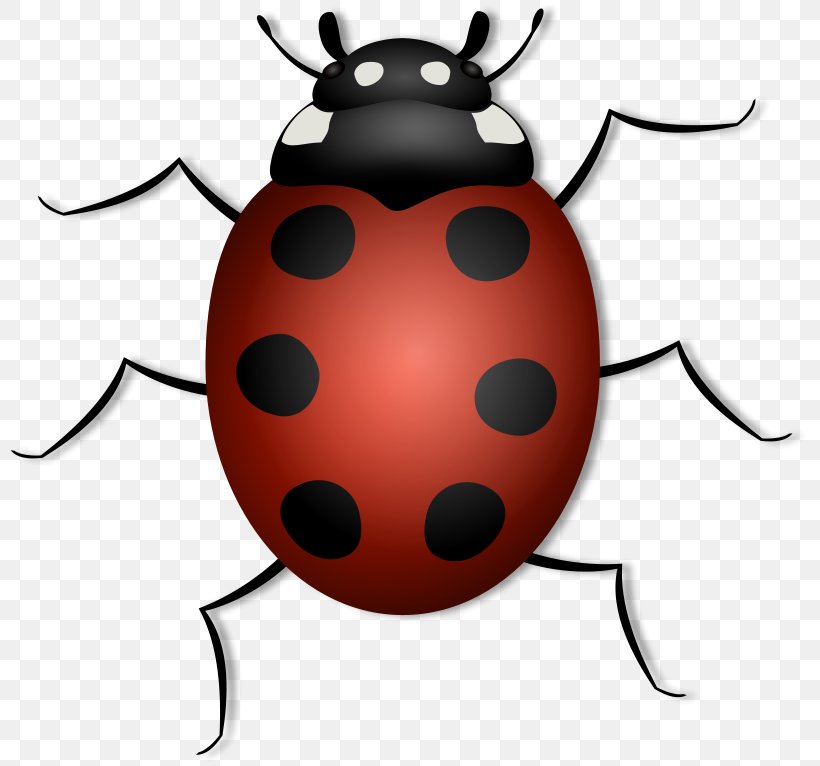 Beetle Ladybird Clip Art, PNG, 800x766px, Beetle, Blog, Free Content, Insect, Invertebrate Download Free
