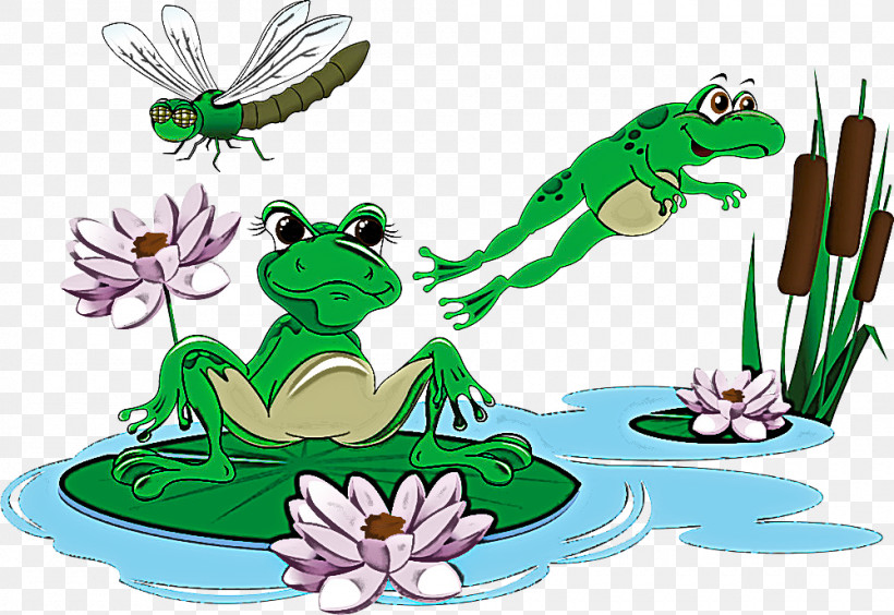 Frog True Frog Tree Frog, PNG, 1000x689px, Frog, Tree Frog, True Frog Download Free