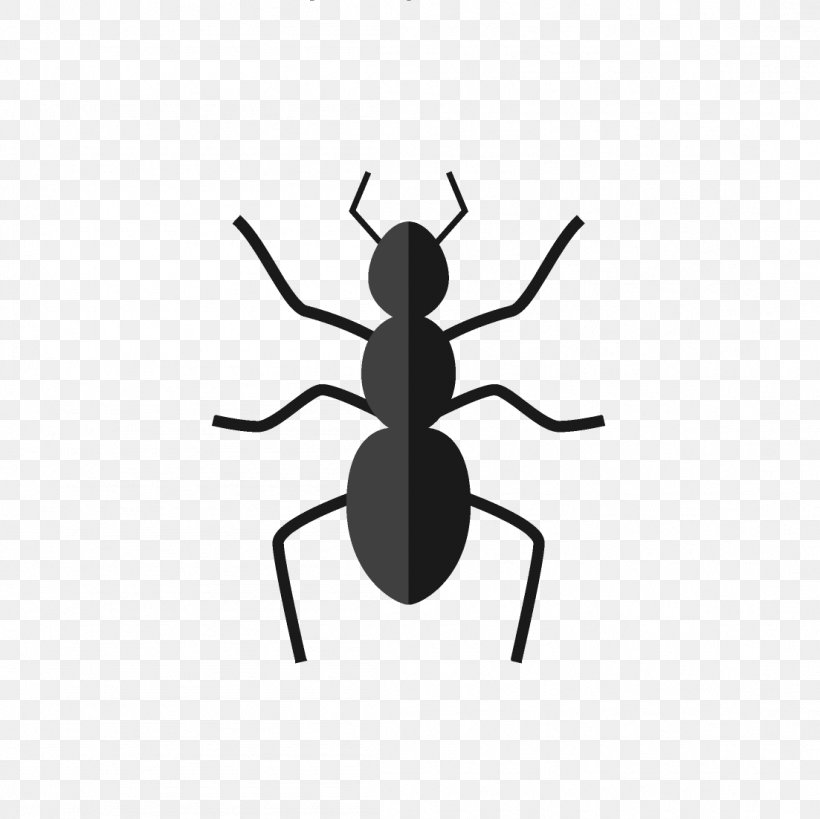 Insect Ant Termite Pest Clip Art, PNG, 1103x1102px, Insect, Ant, Arthropod, Artwork, Black And White Download Free