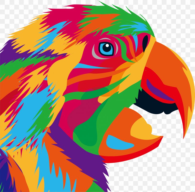 Parrot Bird Drawing Illustration, PNG, 1715x1687px, Parrot, Art, Beak, Bird, Cartoon Download Free