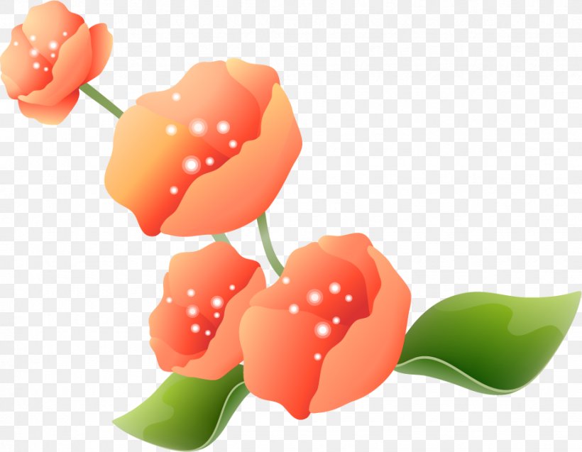 Cut Flowers Google Images, PNG, 924x718px, Flower, Album, Arbel, Chomikujpl, Cut Flowers Download Free