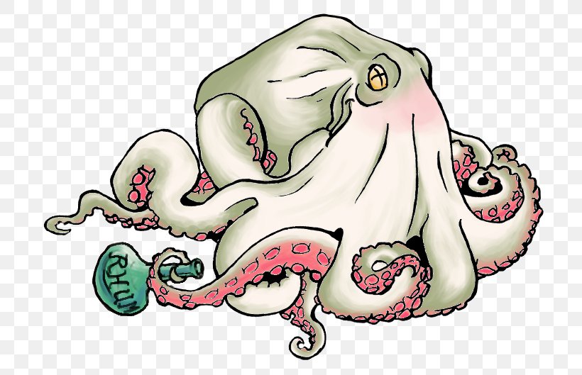 Octopus Cephalopod Cartoon, PNG, 739x529px, Watercolor, Cartoon, Flower, Frame, Heart Download Free