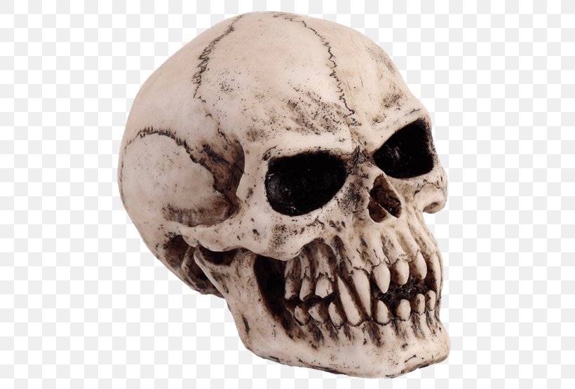 Vampire Skull Totenkopf Goth Subculture Skeleton, PNG, 555x555px, Vampire, Altar, Altarpiece, Bone, Death Download Free
