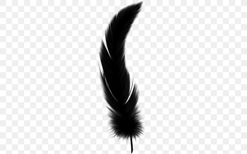 Feather, PNG, 512x512px, Feather, Blackandwhite, Eye, Eyelash, Fashion Accessory Download Free