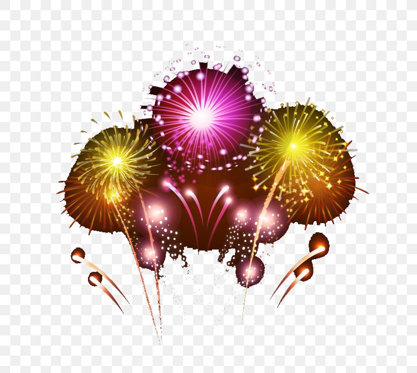 Fireworks Yellow Violet, PNG, 800x734px, Fireworks, Festival, Lighting, Magenta, Purple Download Free