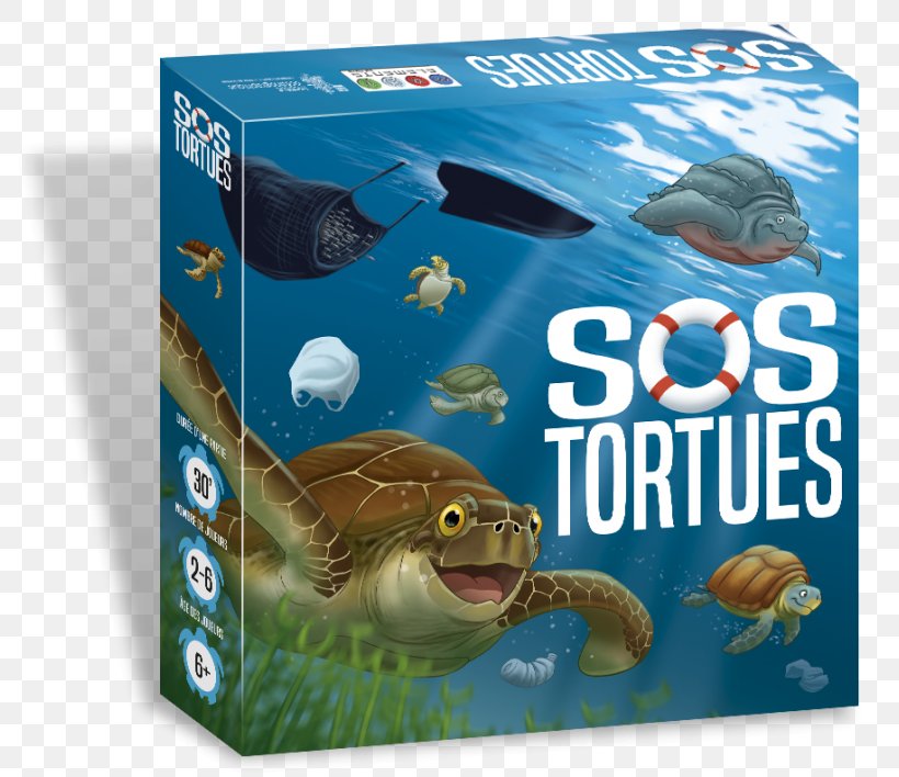 Sea Turtle Oceanographic Museum SOS Tortues Game, PNG, 800x708px, Turtle, Animal, Board Game, Child, Dice Download Free