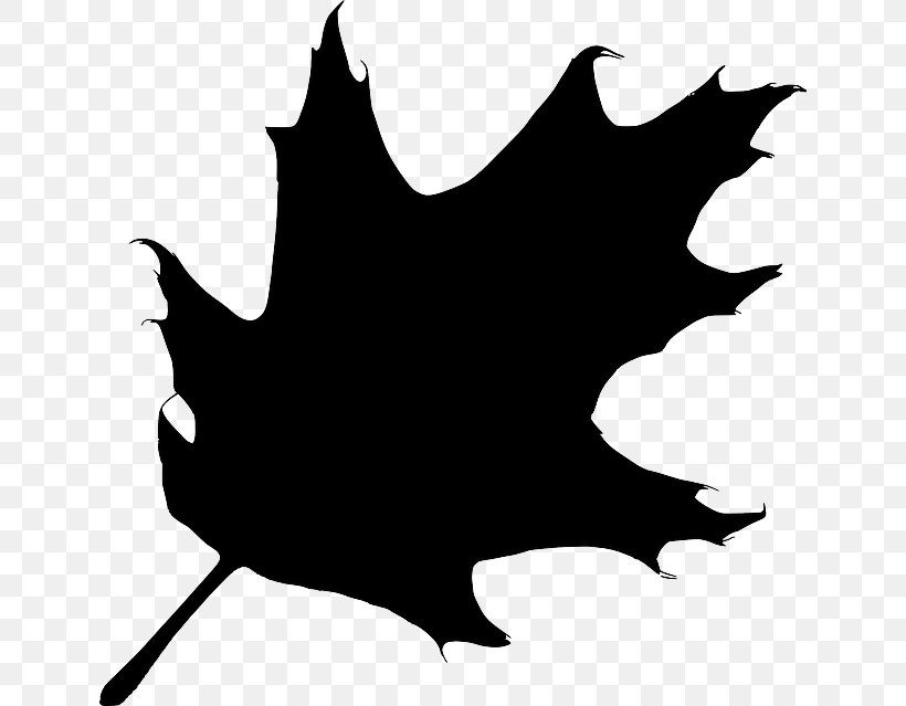 Silhouette Leaf White Oak Clip Art, PNG, 640x639px, Silhouette, Acorn, Artwork, Autumn Leaf Color, Black Download Free