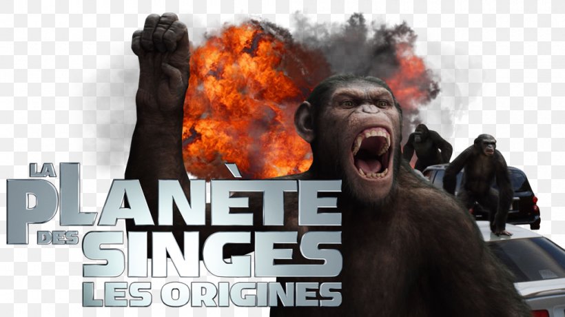 Planet Of The Apes 0 Television Fan Art, PNG, 1000x562px, 2011, Planet Of The Apes, Computer, Fan Art, Film Download Free